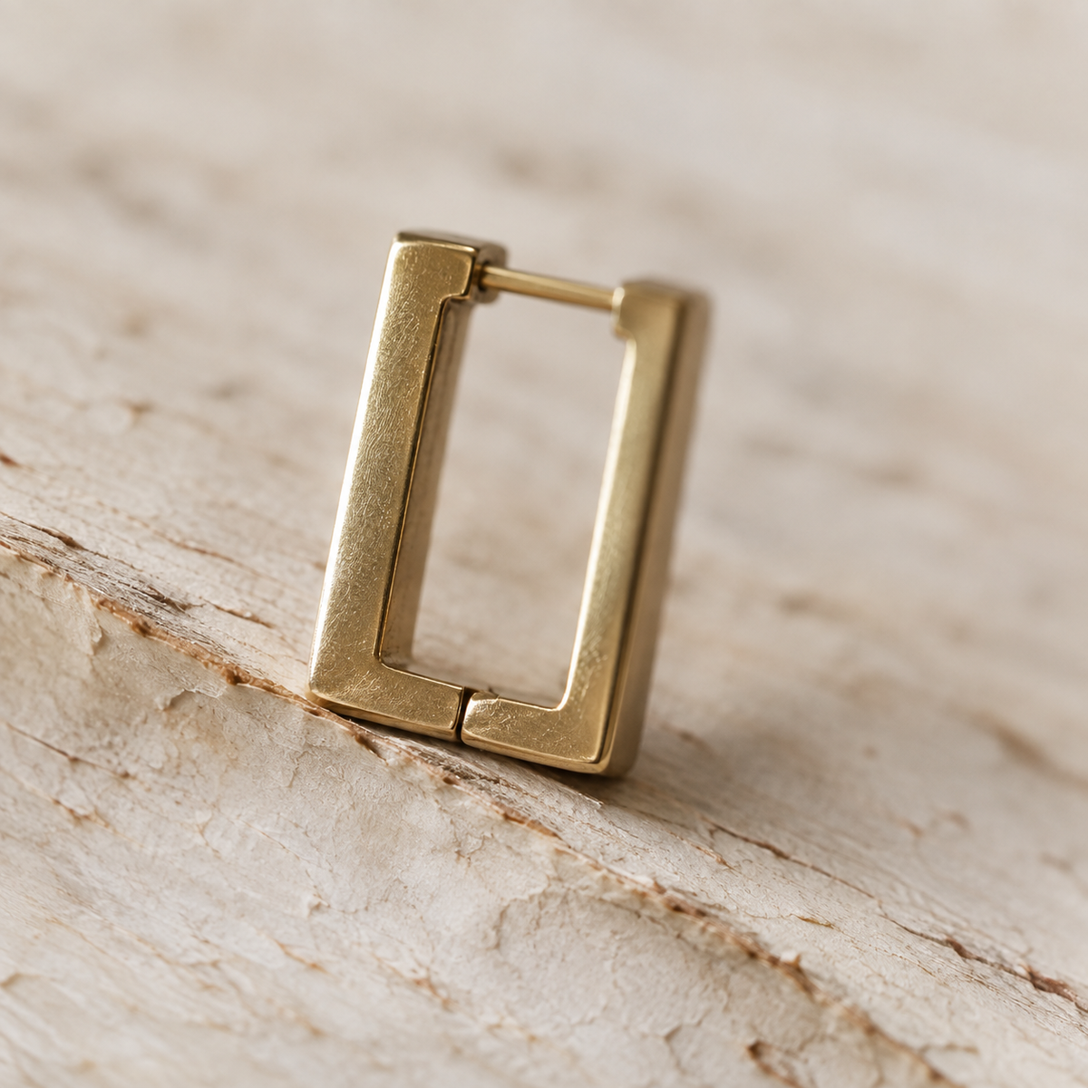 Boucles d'oreilles Audace